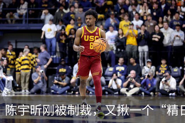 陈宇昕刚被制裁，又揪一个“精日”人员：竟然还是本土企业老板